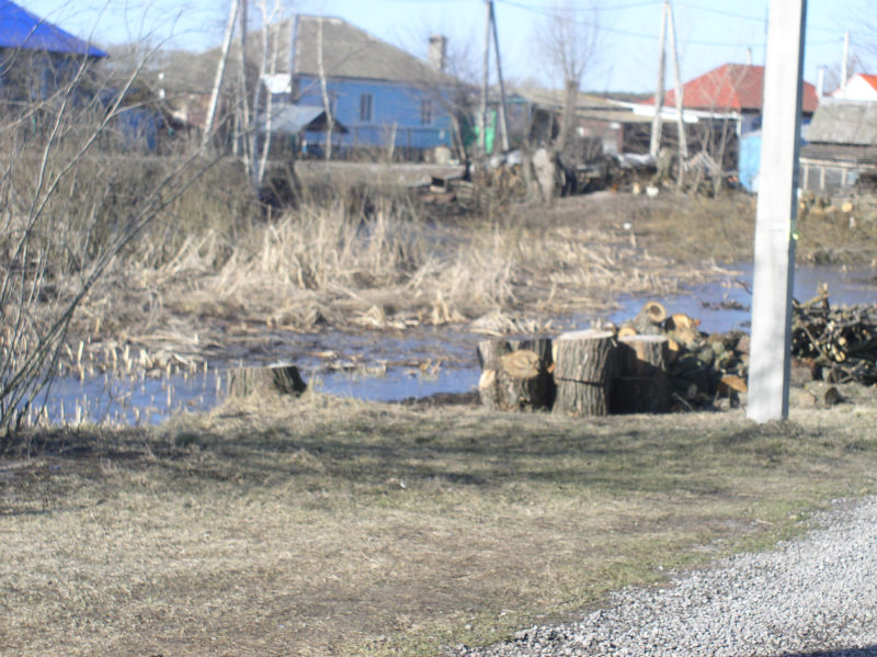 P1010037.JPG