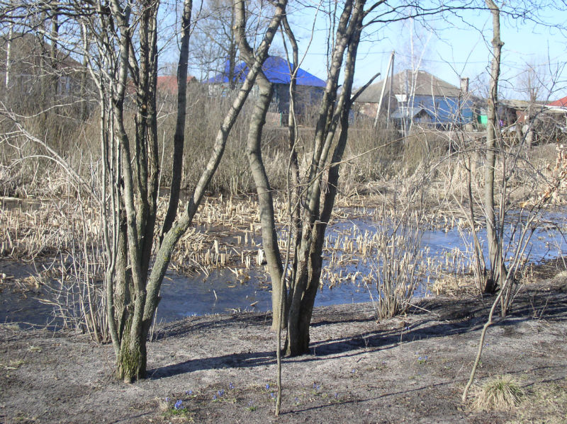P1010029.JPG