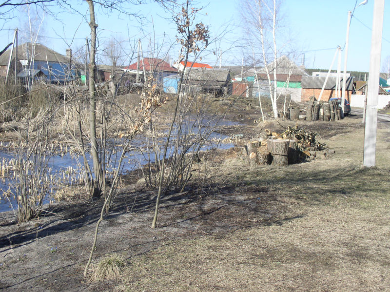 P1010030.JPG